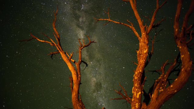 Push-in timelaspe through a dead Acacia tree in the Kalahari bushveld, South Africa, shooting towards the Milky Way,until washed out at sunrise available on request.