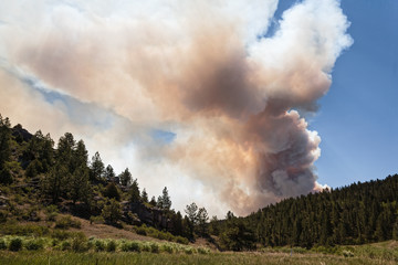 Wildfire in the Rocky Mountains