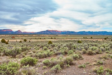 Fototapeta na wymiar Incredibly beautiful landscape in Zion National Park, Washington County, Utah, USA.