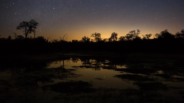 A slow tilt up timelapse of a dam/lake at night with the Milky Way and stars reflecting in the water in a typical African bushveld landscape with early morning fog rolling in at dawn