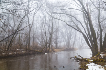 Mist over Spring River
