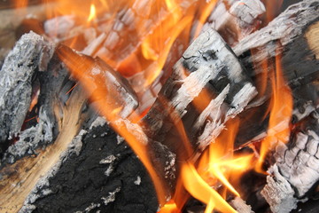 Bright burning fire of wood at fireplace 20422