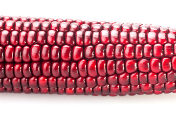 fresh red color corn isolated on white background with copy space and clipping path