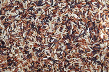 Thai red rice in Thailand
