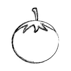 blurred silhouette tomato vegetable food icon vector illustration