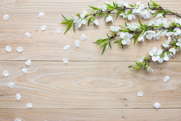 Pear flower on wood background