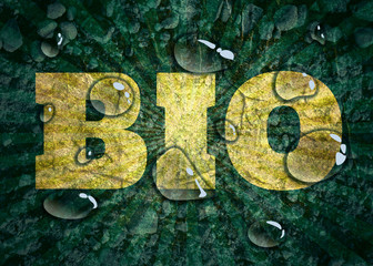 Transparent water drops on dark blue background. Concrete Wall Textured Backdrop Surface. Bio word. Yellow letters