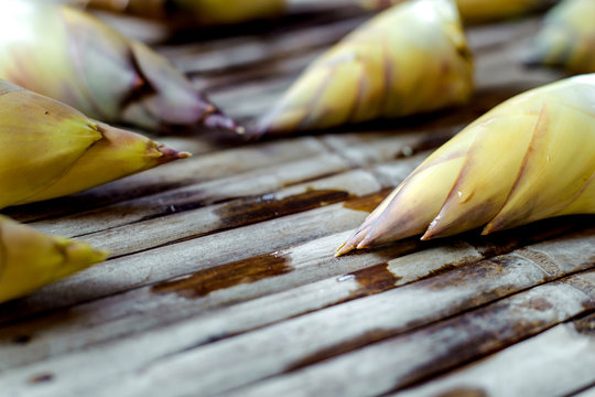 Fresh bamboo shoot on wooden plate