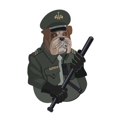 Dog Bulldog police officer with a baton/ Dog Bulldog police officer with a baton, looks after the procedure, you need to be a little aggressive and attentive