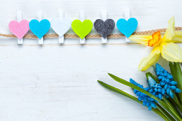 Daffodil and hyacinth spring flowers with colorful hearts.