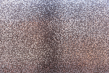 Glass pattern bubbles background