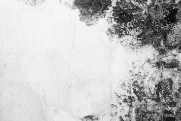 Grunge Cement Wall Background.