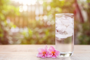 Glass of cold water with ice on table with blur nature garden background