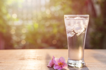Glass of cold water with ice and pink plumeria flower on table with blur nature garden background