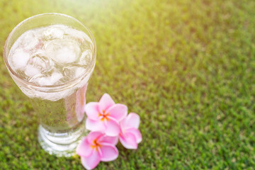 Glass of cold water with ice on green grass with blur nature garden background