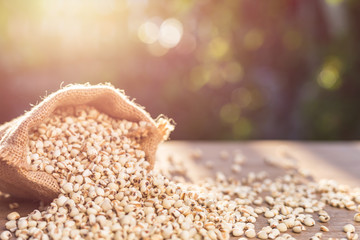 Millet rice or millet grains in small sack on wooden table. Outdoor shooting with sunlight and blur background