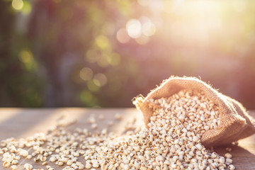 Millet rice or millet grains in small sack on wooden table. Outdoor shooting with sunlight and blur background