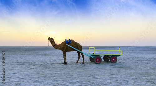 Image result for free image of kutch gujarat