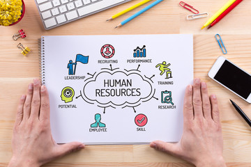 Human Resources chart with keywords and sketch icons - 144506465