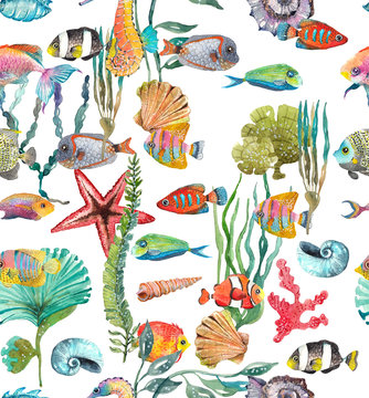 Watercolor Sea Life, Seaweed, Shell, fish, sea horse, beautiful seamless pattern