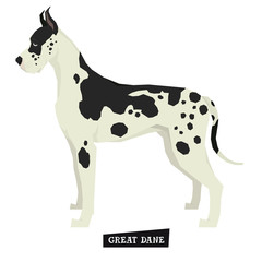 Dog collection Great Dane Geometric style Isolated object
