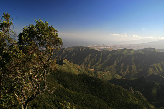 Macizo De Anaga, Tenerife, Canary Islands, Spain