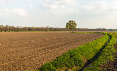Fototapeta na wymiar Plowed field next to a ditch in the beginning of the spring season
