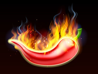 Image of Flaming Hot Red Chilli Pepper printed on Printed Glass Worktop Savers