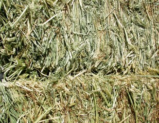 Haystacks straw close up