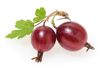 Red gooseberries with green leaves isolated on white background