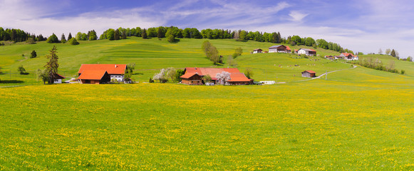 Panorama Landschaft mit Frühlingswiese im Allgäu bei Füssen