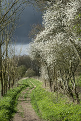 Footpath in stormy weather in Spring English countryside landscape