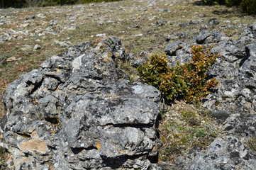 Rocher du Larzac