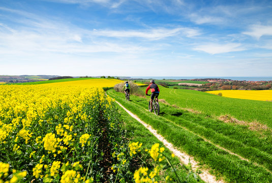 vtt dans la campagne au printemps