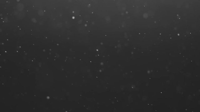 Slow motion of dust particles with ligh tleak fly in the air, 180fps prores bw footage