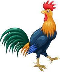 Cute rooster cartoon vector illustration