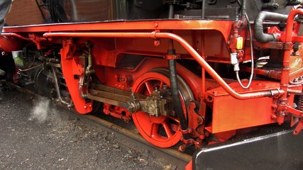 lokomotive der schmalspurbahn im preßnitztal