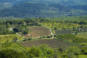 Fototapeta na wymiar Paysage Provençal au printemse.