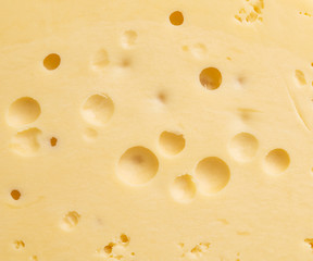 cheese background