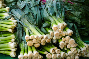 Obraz premium Bunches of green onions bunch at the market place.