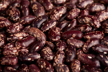 Dark Spotted kidney bean isolated on white background. Dark kidney bean texture background. A large bean with a subtle sweet flavor and soft texture. Beans. Proper nutrition. Vitamins. Healthy food.