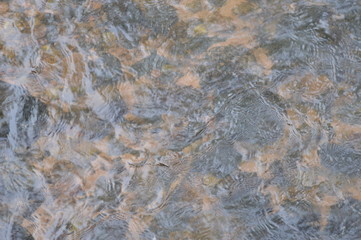 Am Bach