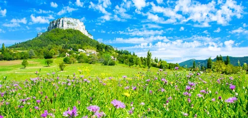 Fotobehang Landschap van de Ardèche in de Provence, Frankrijk © Alexi Tauzin
