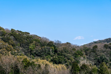 Fototapeta na wymiar 横須賀の自然風景１