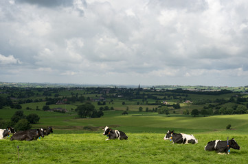Uitzicht over het land van Herve, in de provincie Luik,Belgie.