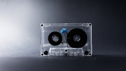 Old transparent cassette tape with flower inside on a dark background.