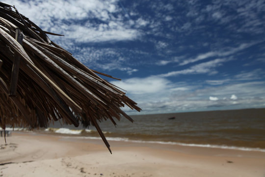 Cotijuba