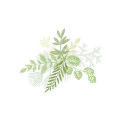 Green floral hand drawn composition, scribble plant leaves. Vector greenery branches isolated on white background. Botanical spring doodles