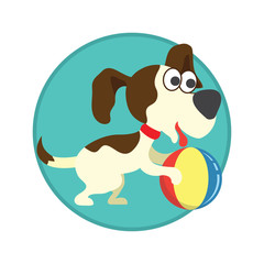 pet toys accessories. vector illustration