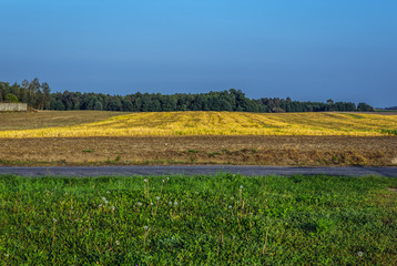 Countryside near Swiekatowo village in Kujawy-Pomerania Province, Poland © Fotokon